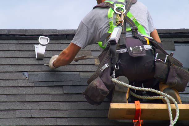 Best Storm Damage Roof Repair  in Forest Hills, PA