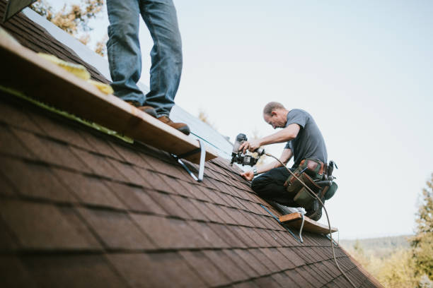 Quick and Trustworthy Emergency Roof Repair Services in Forest Hills, PA